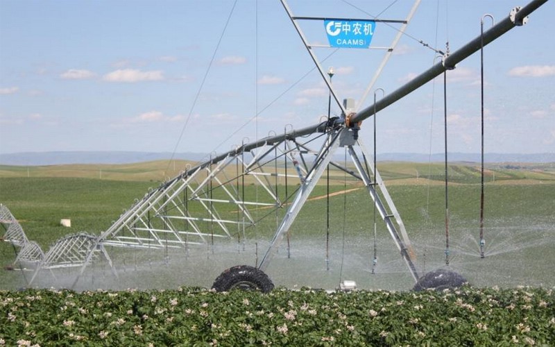 無土栽培,無土栽培技術(shù),無土栽培設(shè)備