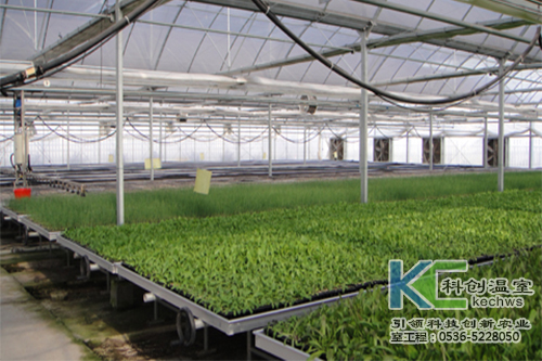 無土栽培，無土栽培技術(shù)，無土栽培設(shè)備