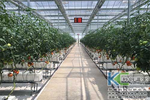 箱式無土栽培，無土栽培