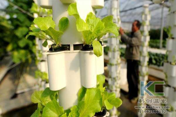 無土栽培，無土栽培技術，無土栽培設備