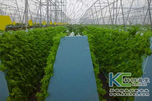 氣霧培,氣霧培優勢