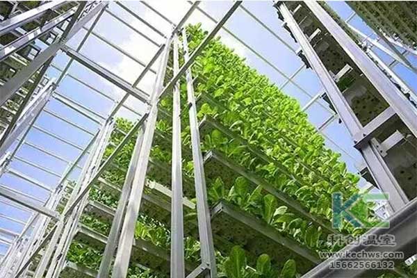 無土栽培，無土栽培技術(shù)，無土栽培設(shè)備