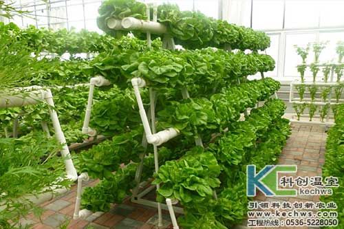 無(wú)土栽培，無(wú)土栽培技術(shù)，無(wú)土栽培設(shè)備