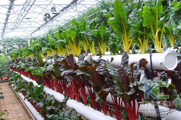 無土栽培，無土栽培技術，無土栽培設備