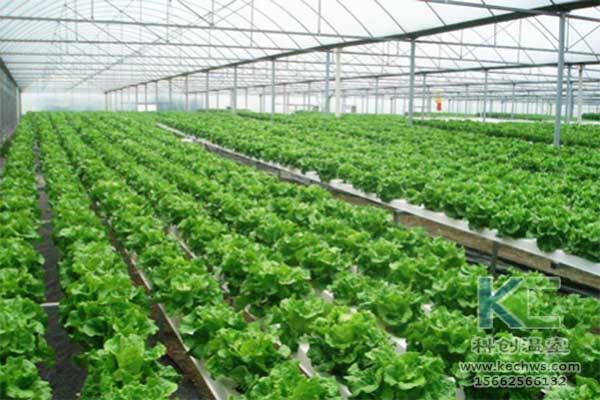 無土栽培，無土栽培技術，無土栽培設備