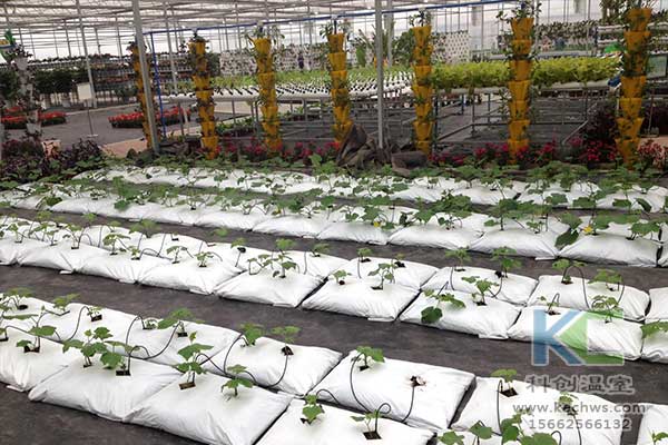 無土栽培，無土栽培技術(shù)，無土栽培設(shè)備