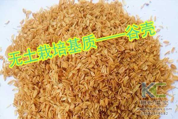 無土栽培，無土栽培技術，無土栽培設備