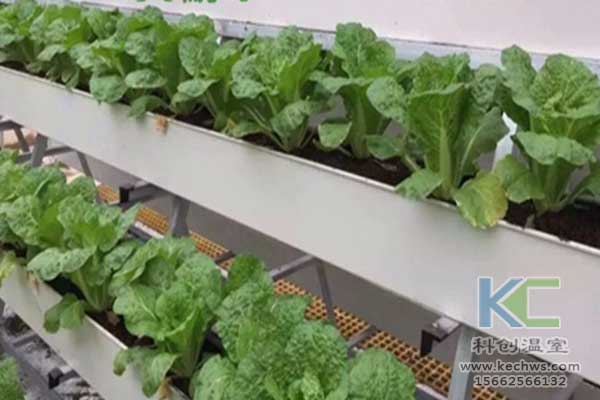 無(wú)土栽培，無(wú)土栽培技術(shù)