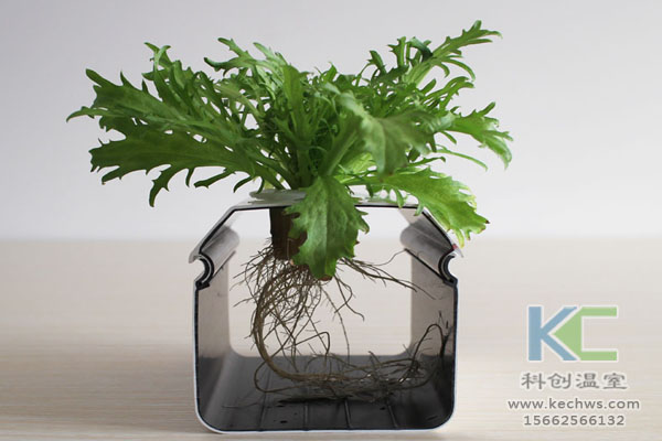 智能溫室無土栽培，無土栽培技術，溫室大棚，無土栽培