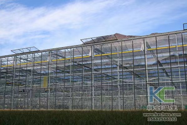 無土栽培,無土栽培技術(shù),無土栽培設(shè)備