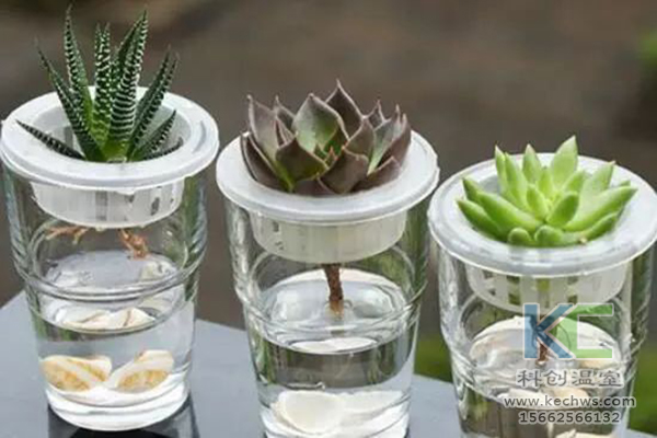 無土栽培,無土栽培技術,無土栽培設備