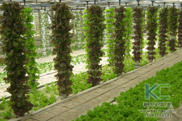 蔬菜大棚無(wú)土栽培，無(wú)土栽培技術(shù)，溫室大棚，大棚