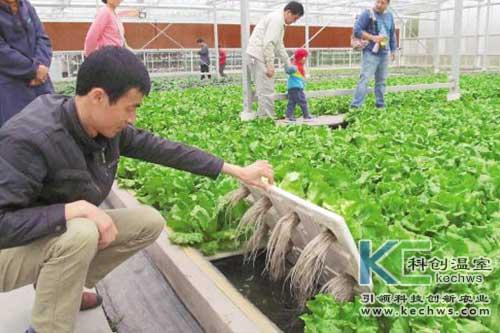 無(wú)土栽培,無(wú)土栽培技術(shù),無(wú)土栽培設(shè)備