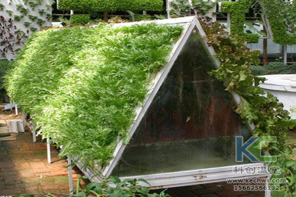 無土栽培技術,基質栽培,水培,溫室大棚