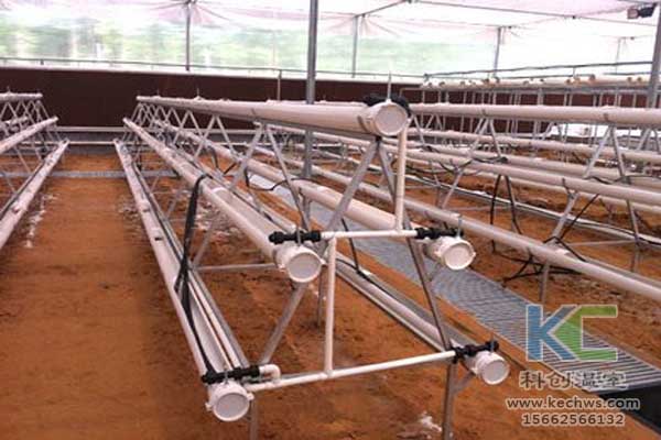 無土栽培技術,無土栽培設備,魚菜共生,溫室大棚