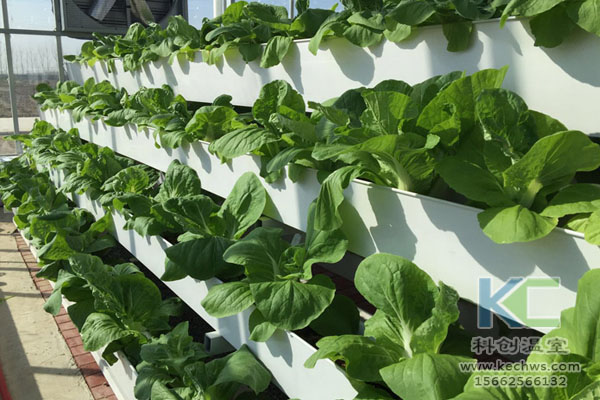 無(wú)土栽培，無(wú)土栽培技術(shù)，無(wú)土栽培設(shè)備