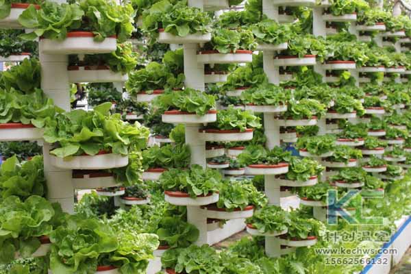 無土栽培技術，無土栽培設備，無土栽培，溫室大棚