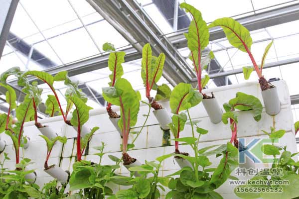 無土栽培,無土栽培技術(shù),無土栽培設備