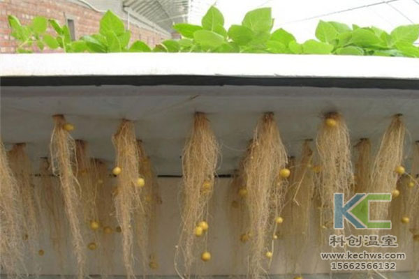 智能溫室無土栽培，無土栽培技術，溫室大棚，無土栽培