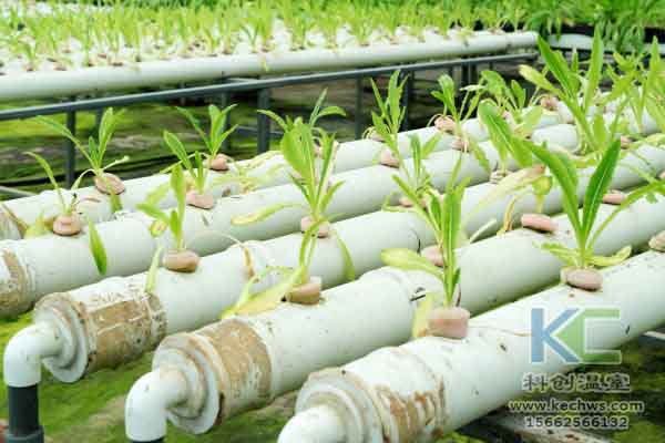 無(wú)土栽培技術(shù)，蔬菜大棚建設(shè)，溫室大棚，無(wú)土栽培