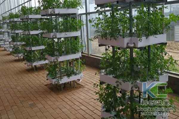 無土栽培技術，無土栽培設備，無土栽培，溫室大棚