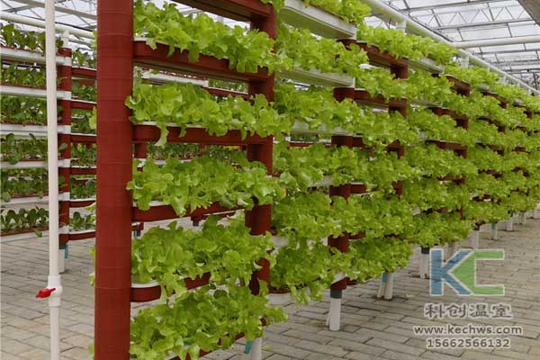 無土栽培技術，無土栽培設備，魚菜共生，溫室大棚