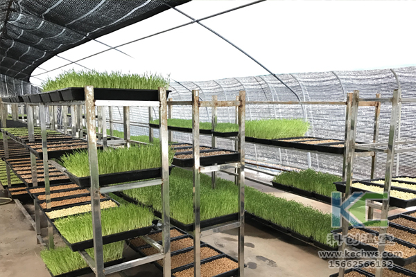 無土栽培，無土栽培技術(shù)，無土栽培設(shè)備