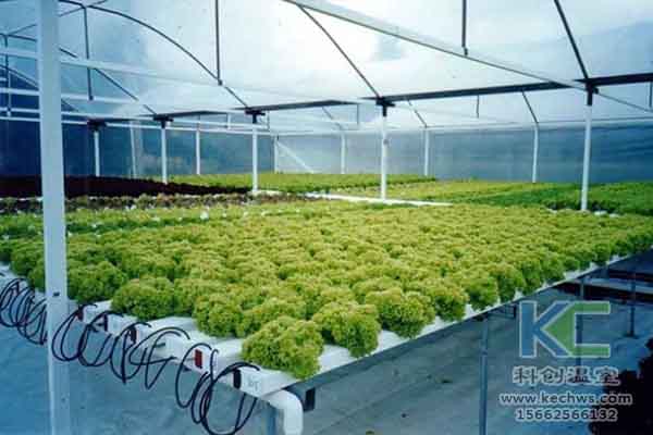 無土栽培技術(shù),無土栽培設(shè)備,無土栽培,溫室大棚