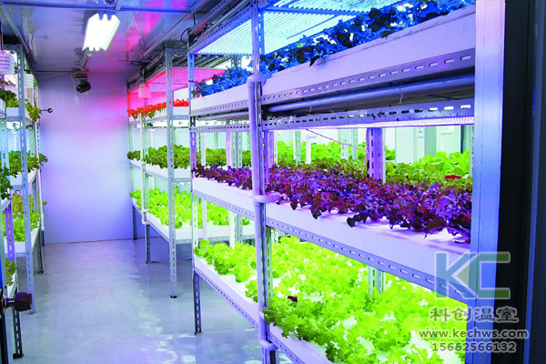 無土栽培技術，無土栽培設備，無土栽培，溫室大棚