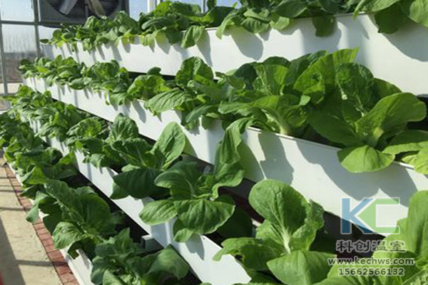 無土栽培技術，無土栽培設備，無土栽培，溫室大棚