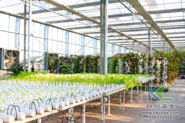 無土栽培,無土栽培技術(shù),無土栽培設備