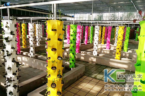 無土栽培,基質栽培,水培