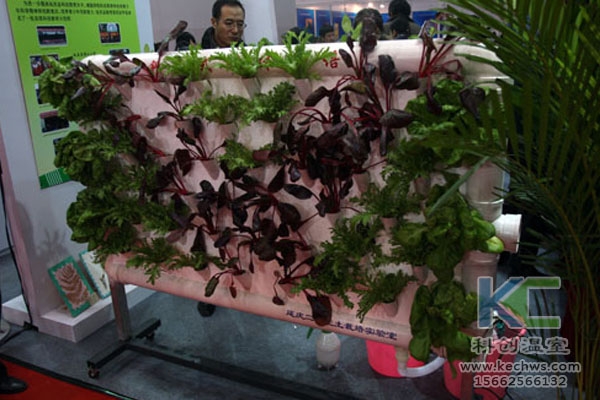 蔬菜大棚無(wú)土栽培，無(wú)土栽培技術(shù)，溫室大棚，大棚