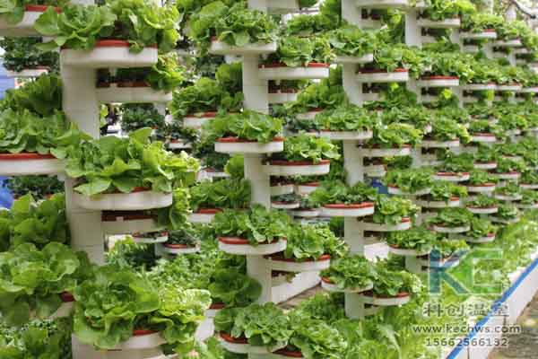 無土栽培技術，無土栽培設備，無土栽培，溫室大棚