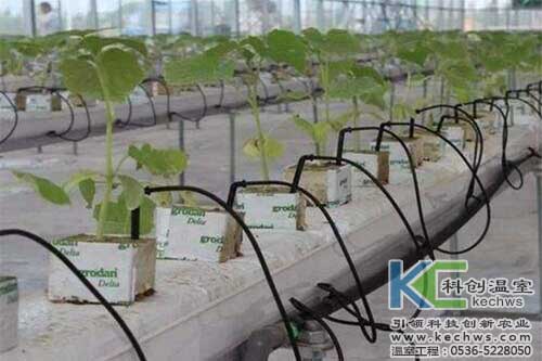 無(wú)土栽培，無(wú)土栽培技術(shù)，無(wú)土栽培設(shè)備