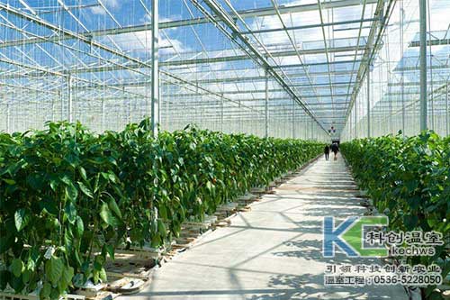 無土栽培，無土栽培技術，無土栽培設備