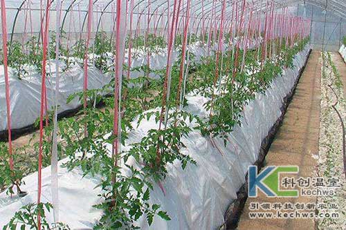 無(wú)土栽培，無(wú)土栽培技術(shù)，無(wú)土栽培設(shè)備