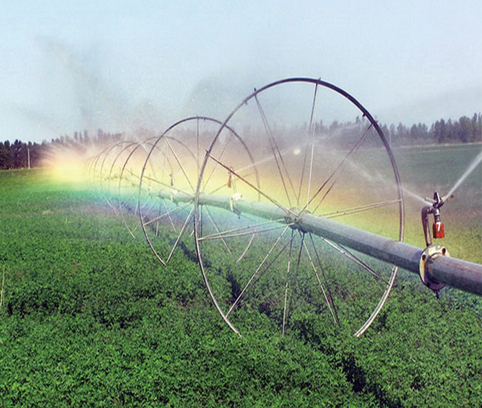 無(wú)土栽培,無(wú)土栽培技術(shù),無(wú)土栽培設(shè)備