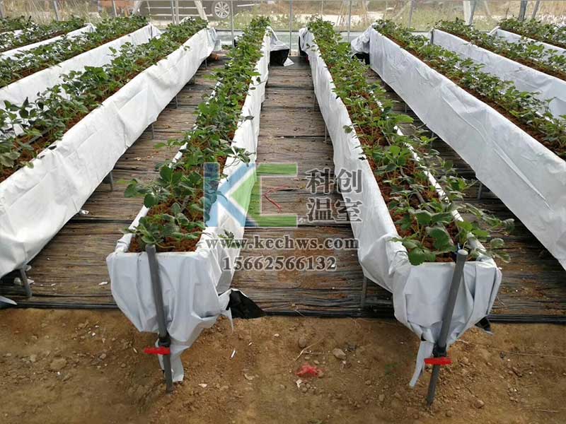 無土栽培，無土栽培技術，無土栽培設備