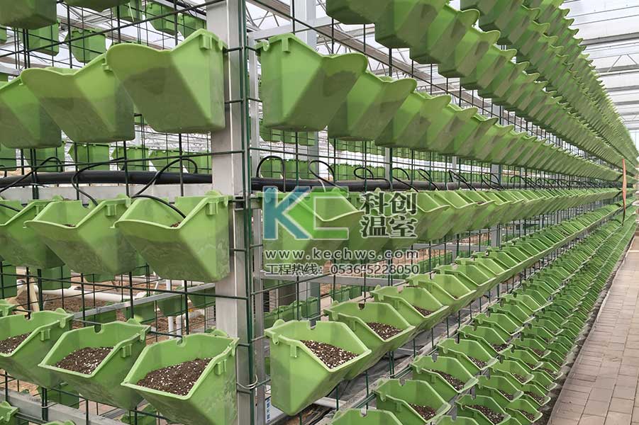 無土栽培，無土栽培技術(shù)，無土栽培設(shè)備