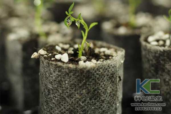 無土栽培,無土栽培技術,無土栽培設備