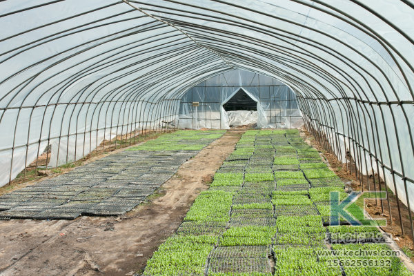 無土栽培,無土栽培技術,無土栽培設備