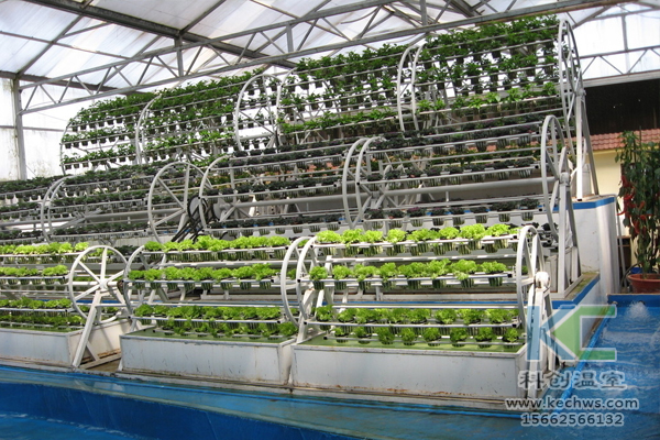 無土栽培,設(shè)備,無土栽培設(shè)備,設(shè)施