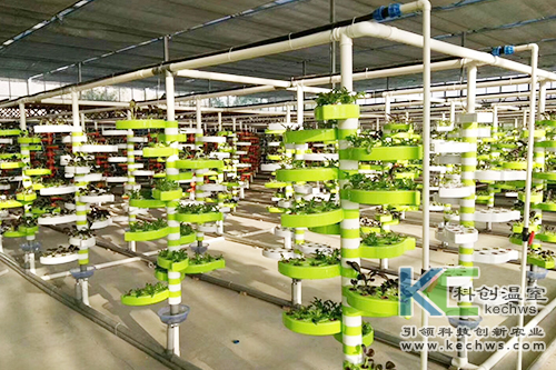 無土栽培,基質栽培,水培