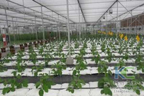 無(wú)土栽培，無(wú)土栽培技術(shù)，無(wú)土栽培設(shè)備