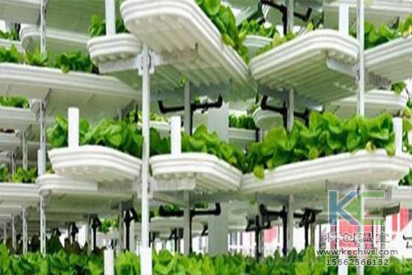 無土栽培，無土栽培技術(shù)，無土栽培設(shè)備