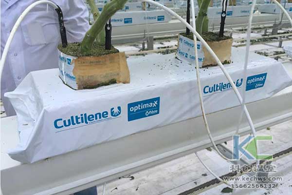 無(wú)土栽培，無(wú)土栽培技術(shù)，無(wú)土栽培設(shè)備