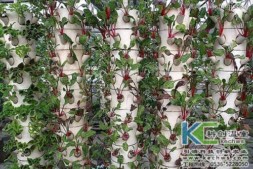 無土栽培，無土栽培技術(shù)，無土栽培設(shè)備