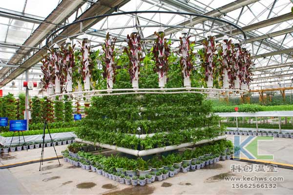 無土栽培，無土栽培技術，無土栽培設備