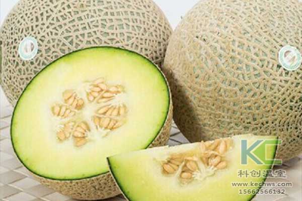 無土栽培，無土栽培技術，無土栽培設備